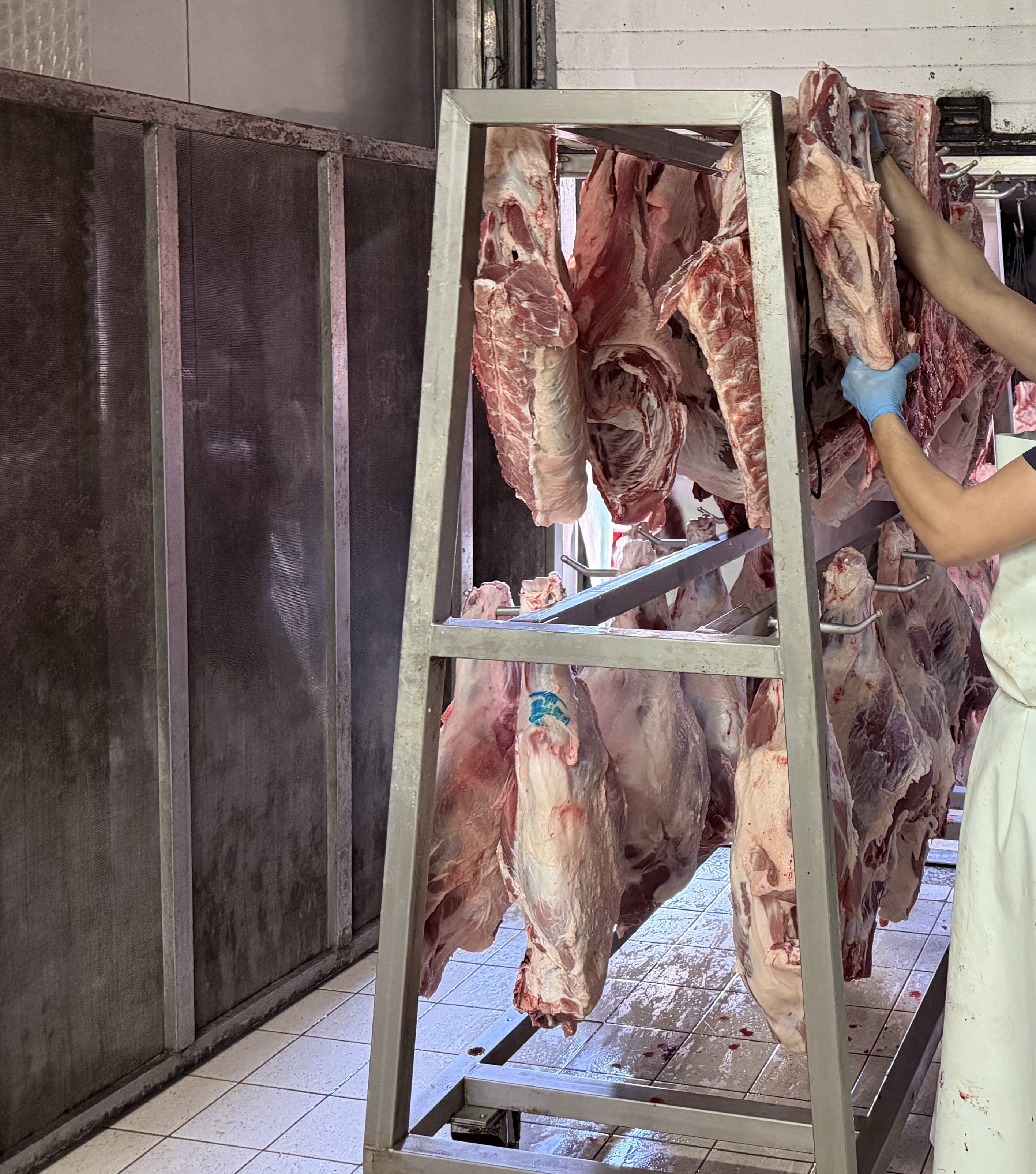 Παραλαβή Κρέατος